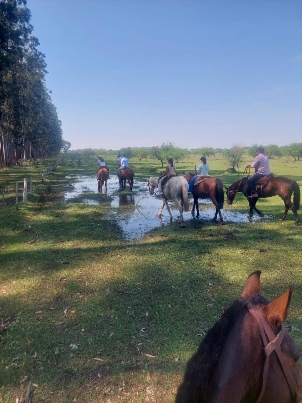 Estancia La Violeta Чахари Экстерьер фото