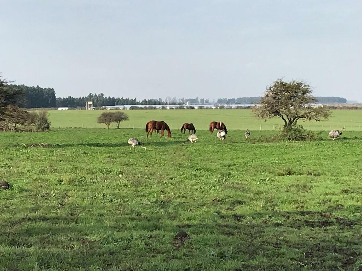 Estancia La Violeta Чахари Экстерьер фото